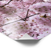 ピンクのさくらんぼ花花キャノピー フォトプリント            (角)