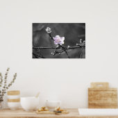 ピンクのさくらんぼ ポスター (キッチン)