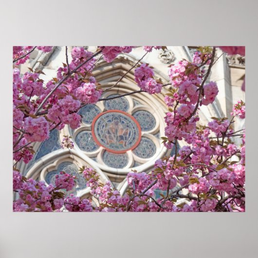 ピンクのさくらんぼ ポスター (正面)