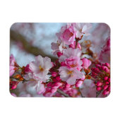 ピンクのさくらんぼ マグネット (横)