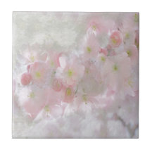 ピンクのすべての夢