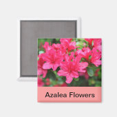 ピンクのつつじの花 マグネット (正面/裏面)