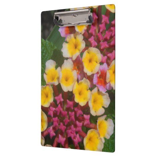 ピンクのつぼみを持つ小さな黄色い熱帯の花 クリップボード (左)