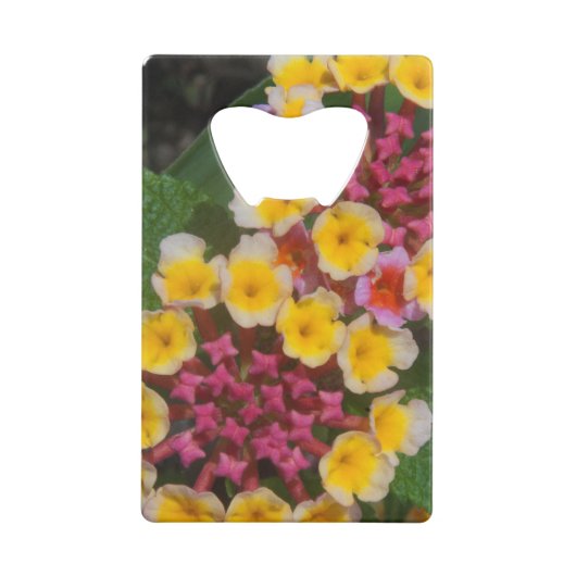 ピンクのつぼみを持つ小さな黄色い熱帯の花 クレジットカード栓抜き (裏面)