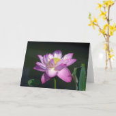 ピンクのはすの花 カード (黄色い花)