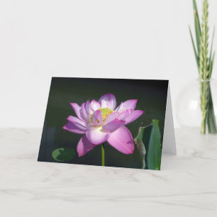 ピンクのはすの花 カード