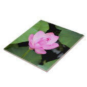 ピンクのはすの花 タイル (側面)