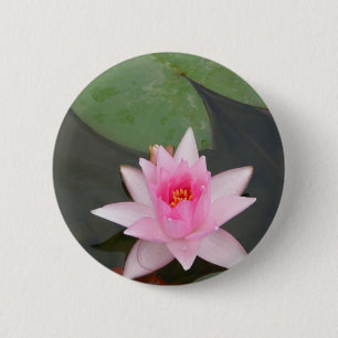 ピンクのはすの花 缶バッジ
