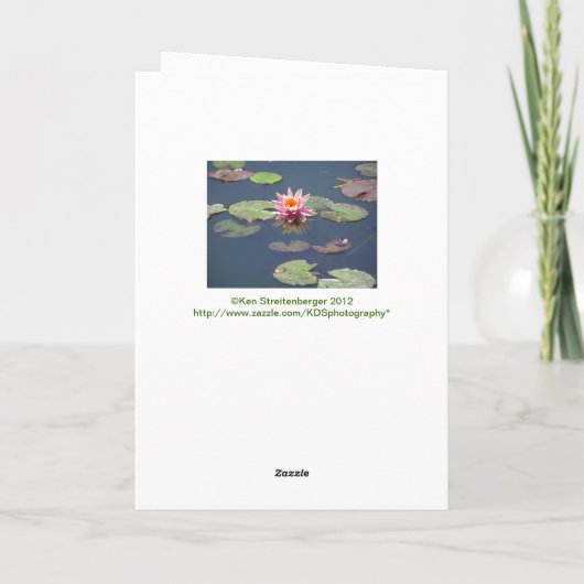 "ピンクのはす花"の挨拶状 カード (裏面)