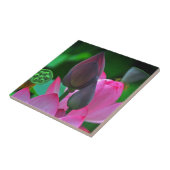 ピンクのはす花 タイル (側面)