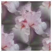 ピンクのひげのあいさつの花の自然 ファブリック (クローズアップ)