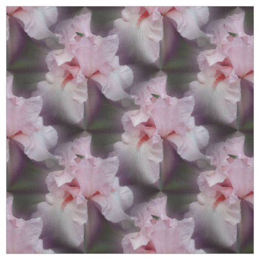 ピンクのひげのあいさつの花の自然 ファブリック (見本)