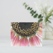 ピンクのひまわり葉書 ポストカード (スタンド正面)