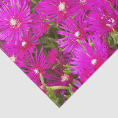 ピンクのアイスプラントフラワーズフローラ 薄葉紙 (詳細)