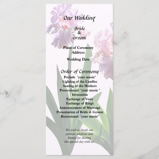 ピンクのアイリス二羽 プログラム (正面)