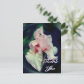 ピンクのアイリス抽象花の感謝はがき ポストカード (スタンド正面)