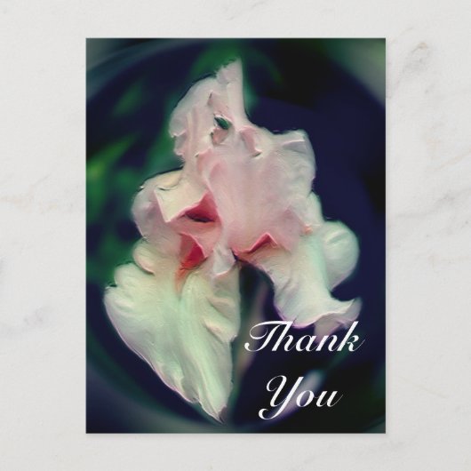 ピンクのアイリス・アブストラクト・フラワーの感謝ポストカード ポストカード (正面)