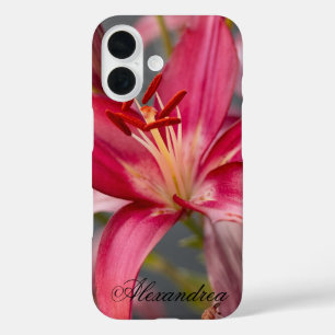 ピンクのアジアのユリエレガント – 花写真 iPhone 16ケース
