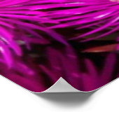 ピンクのアスターの花 ポスター (角)