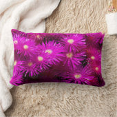 ピンクのアスターの花 ランバークッション (ブランケット)