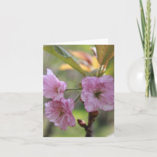 ピンクのアップル開花の春写真ママ シーズンカード (正面)