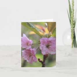 ピンクのアップル開花の春写真ママ シーズンカード