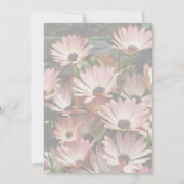 ピンクのアフリカデイジーの花パーティー 招待状 (裏面)