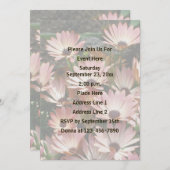 ピンクのアフリカデイジーの花パーティー 招待状 (正面/裏面)