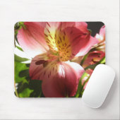 ピンクのアルストロメリア属の花ユリの花の写真 マウスパッド (マウス)