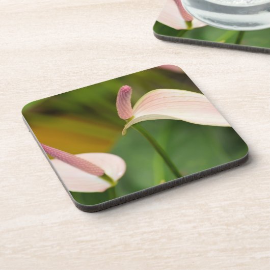 ピンクのアンスリウムフラワーズカウアイハワイ コースター (左側)