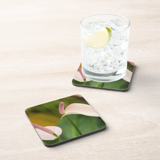 ピンクのアンスリウムフラワーズカウアイハワイ コースター (右側)