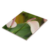 ピンクのアンスリウムフラワーズカウアイハワイ タイル (側面)