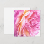 ピンクのイングリッシュローズの花の花弁ブラン シーズンカード (正面/裏面)