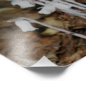 ピンクのインディアンパイプキノコの花 フォトプリント            (角)