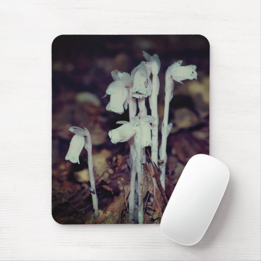 ピンクのインディアンパイプ野生の花きのこ自然 マウスパッド (マウス)