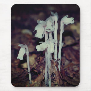 ピンクのインディアンパイプ野生の花きのこ自然 マウスパッド