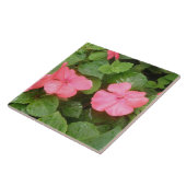 ピンクのインパティエンズフラワータイル タイル (側面)