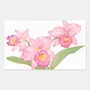 ピンクのエキゾチックな水色の花 長方形シール