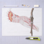 ピンクのオウム水彩画 薄葉紙 (クラフト)