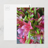 ピンクのオオムシユリ ポストカード (正面/裏面)