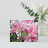 ピンクのオオユリの花はがき ポストカード (スタンド正面)