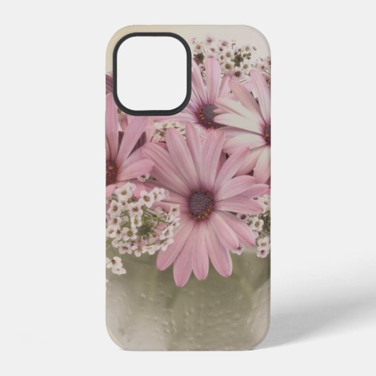ピンクのオステオスペルマム iPhoneケース (裏面)