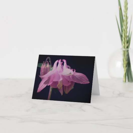 ピンクのオダマキの花の写真 ノートカード (正面)