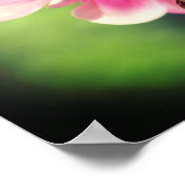 ピンクのオダマキ(植物)の花クローズアップ ポスター (角)