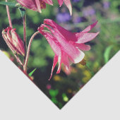 ピンクのオダマキ(植物)花クローズアップデコページ 薄葉紙 (詳細)