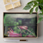 ピンクのオダマキ(植物)花クローズアップデコページ 薄葉紙 (ギフト)