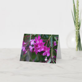 ピンクのオレアンダーの影の妖精 カード