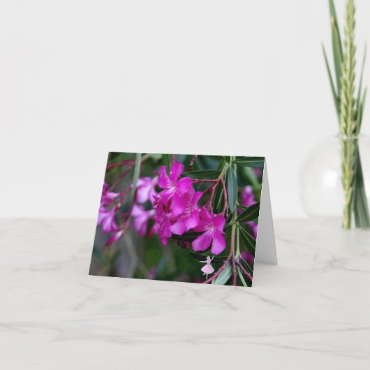 ピンクのオレアンダーの影の妖精 カード (正面)