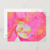 ピンクのオレンジ色の熱帯フローラ水の色ピンクの蘭 ポストカード (正面/裏面)