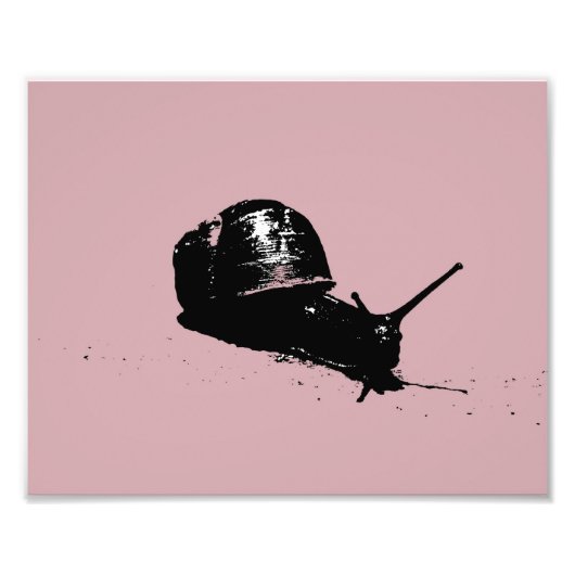 ピンクのカタツムリ フォトプリント            (正面)